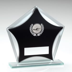 Glass Swimming Awards