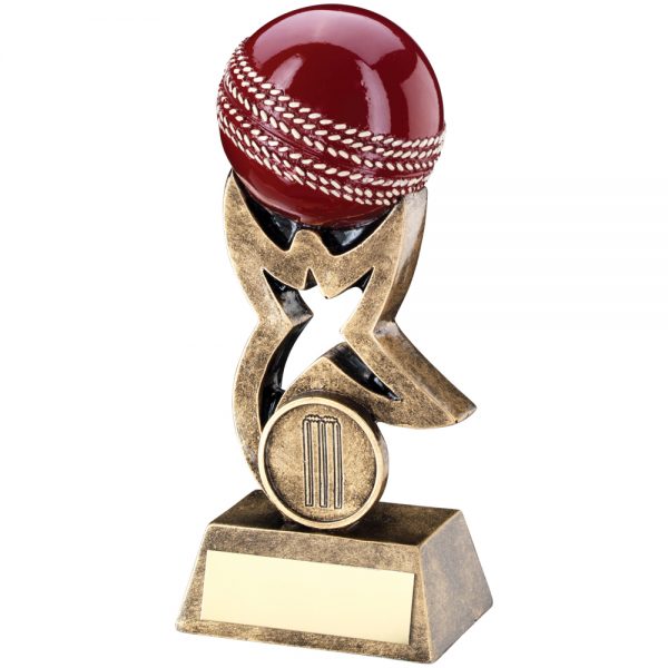 3D Cricket Ball Award