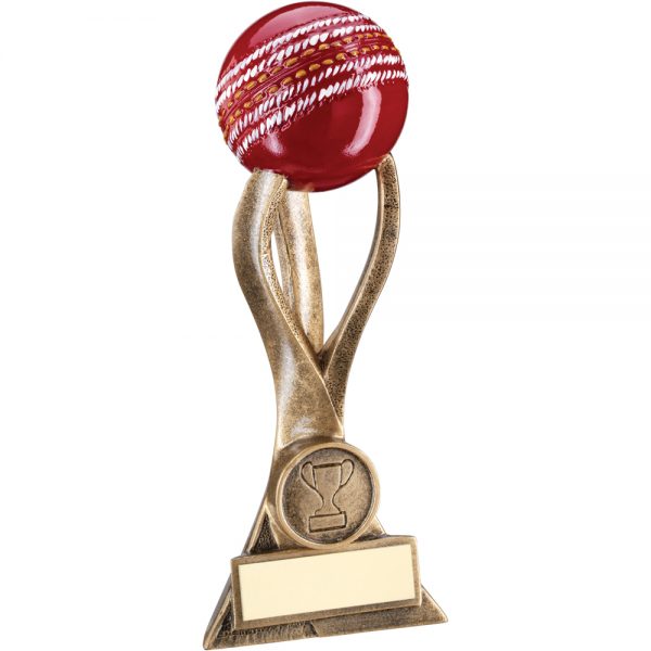 Cricket Ball Resin Award