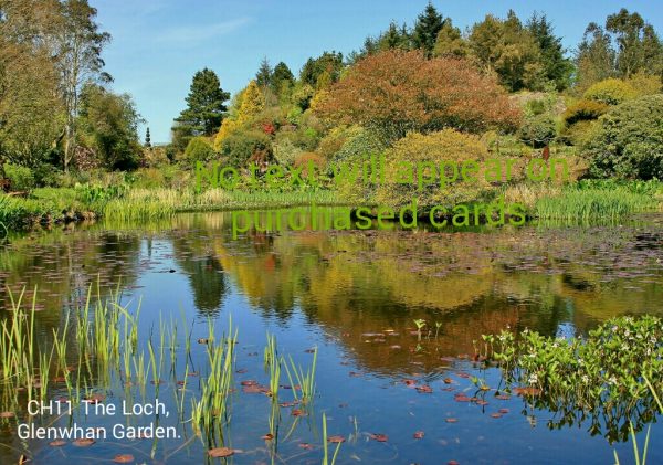 The Loch, Glenwhan Gardens